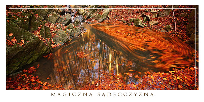 Potok w Rzyczanowie