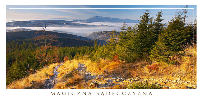 Widok na poudnie spod Radziejowej
